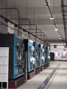 WhatsApp Image 2026-03-04 at 9.42.30 PM